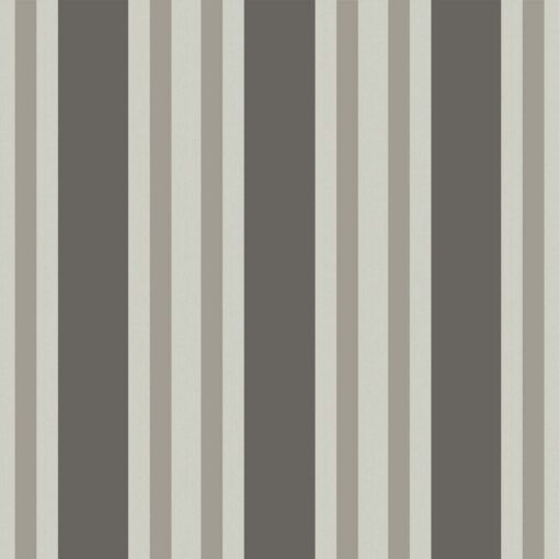 Polo Stripe - Image 12