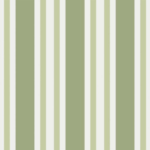 Polo Stripe - Image 7
