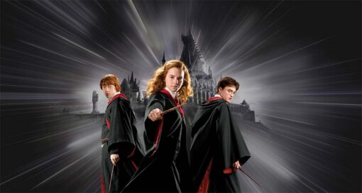 HARRY POTTER HERMIONE'S SPELL - Image 2