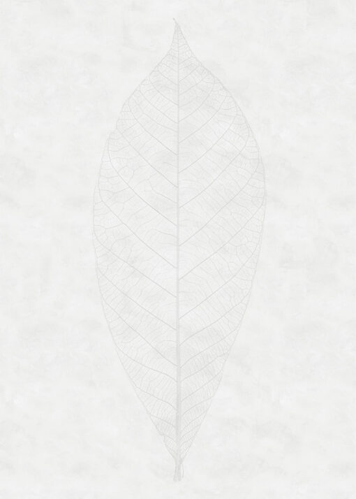 Decent Leaf Wallmural ( 200 x 280 cm) - Image 2