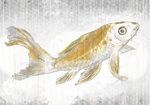 Golden Koi Wallmural ( 400 x 280 cm) - Image 2