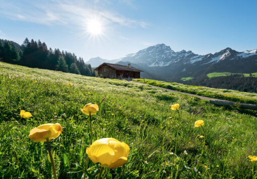 Alpenglück Wallmural ( 400 x 280 cm) - Image 2