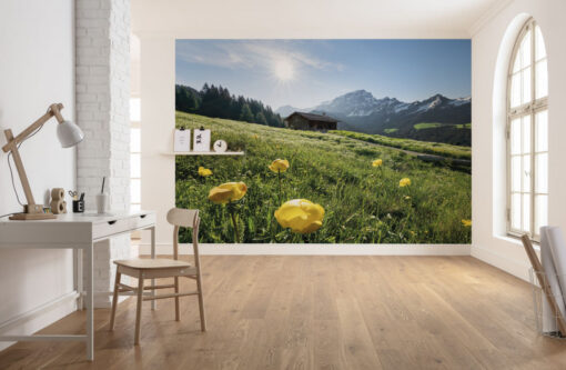 Alpenglück Wallmural ( 400 x 280 cm)