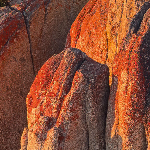 Bay of Fires Wallmural ( 400 x 280 cm) - Image 7