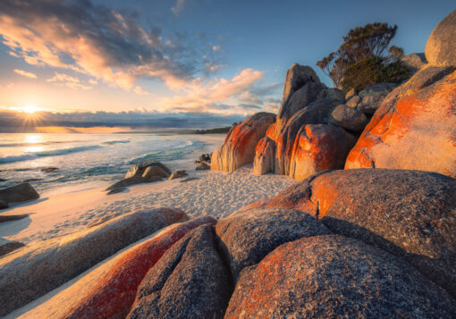 Bay of Fires Wallmural ( 400 x 280 cm) - Image 2