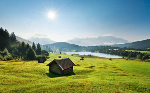 Bergwiese vor Karwendel Wallmural ( 450 x 280 cm) - Image 2