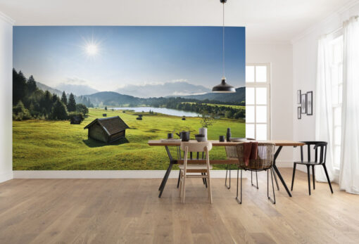 Bergwiese vor Karwendel Wallmural ( 450 x 280 cm)