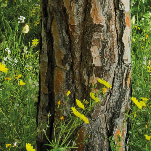 Blütenzauberwald Wallmural ( 450 x 280 cm) - Image 5