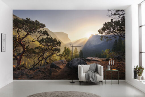 Yosemites Secret Wallmural ( 450 x 280 cm)