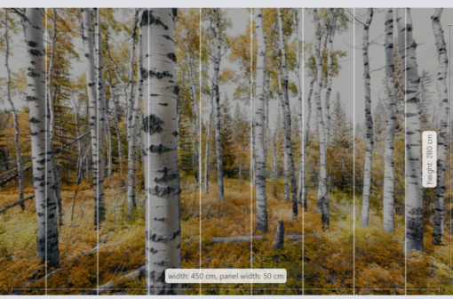 Colorful Aspenwoods Wallmural ( 450 x 280 cm) - Image 3