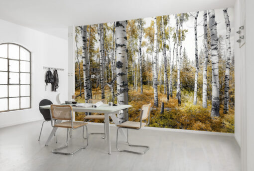 Colorful Aspenwoods Wallmural ( 450 x 280 cm)