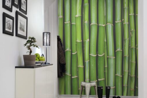 Bamboo Wallmural - Premium - Image 3