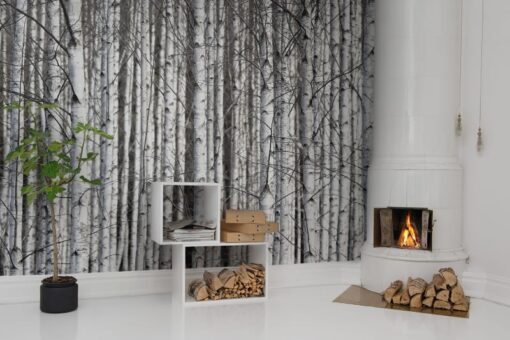 Birch Trunks Wallmural - Premium - Image 3