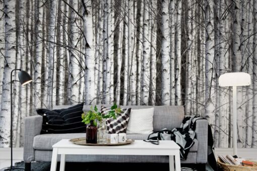 Birch Trunks Wallmural - Premium