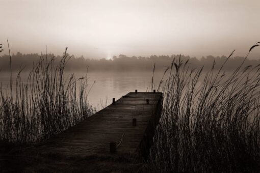 Misty Lake Wallmural - Premium - Image 2