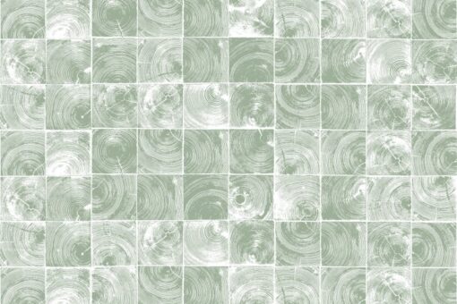 Age Rings, Green Wallmural - Premium - Image 2