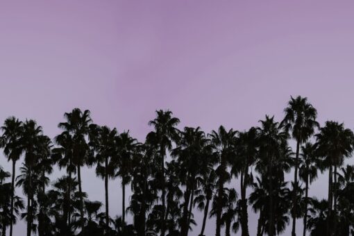 Riviera Daydream, Dusk Wallmural - Premium - Image 2