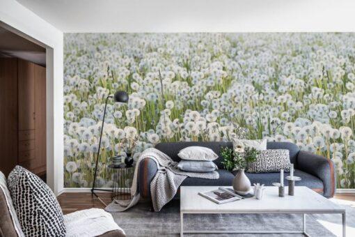 Dandelions Wallmural - Premium