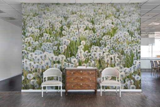 Dandelions Wallmural - Premium - Image 4