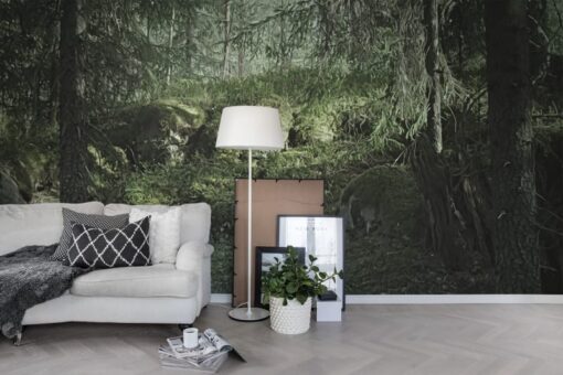 Virgin Forest Wallmural - Premium