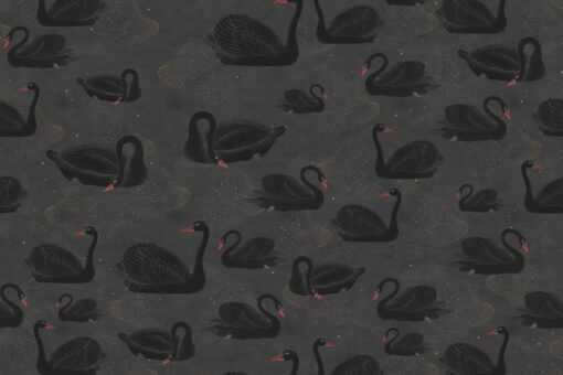 Cygne, Noir Wallmural - Premium - Image 2