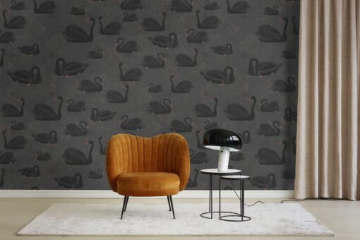 Cygne, Noir Wallmural - Premium