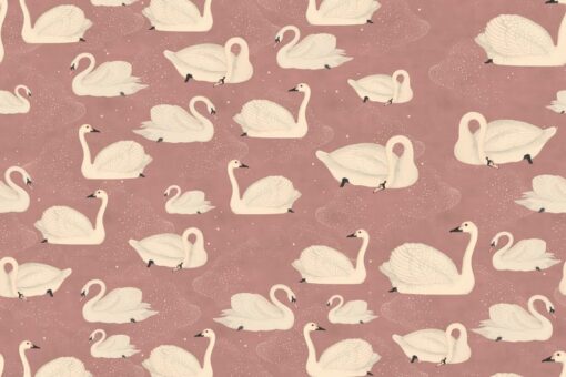 Cygne, Rose Wallmural - Premium - Image 2