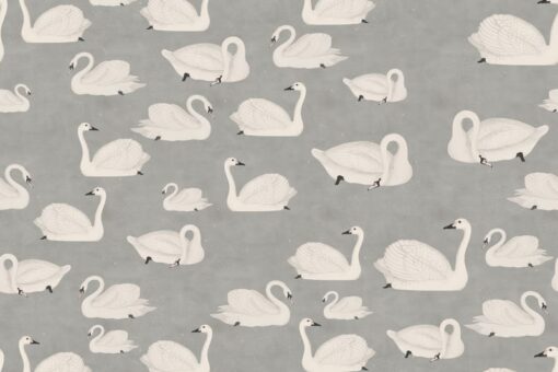 Cygne Wallmural - Premium - Image 2