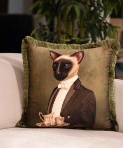 Serious Cat - EY245