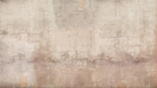 Brown Toned Plaster Wall - Image 2