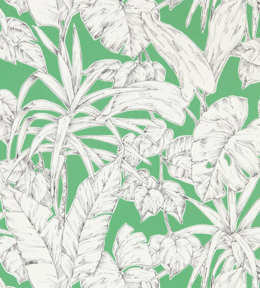 Parlour Palm Wallpaper - Image 2