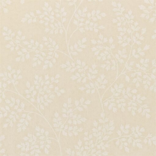 CORALIE - Image 3
