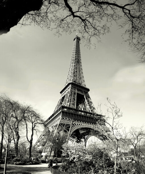 Eiffel Tower - Image 2