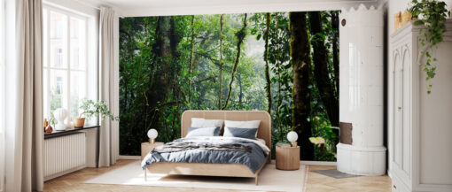 Tropical Forest - Image 3