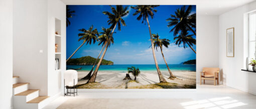 Coconut Palms, Thailand - Image 3