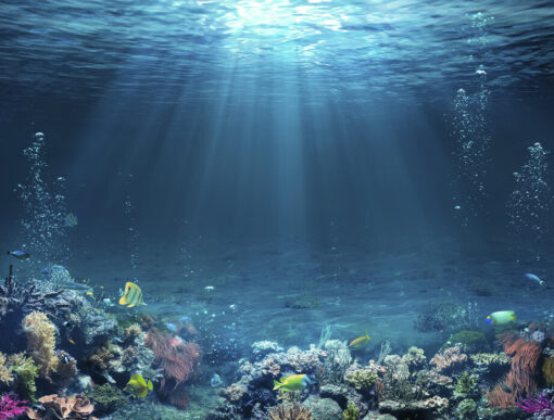 Underwater Scene - Image 2